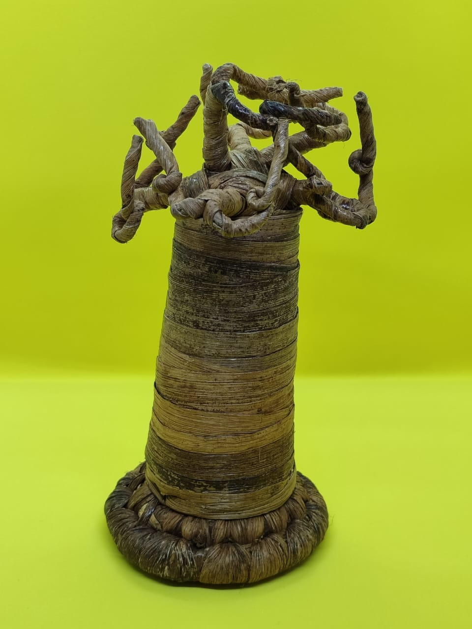 Baobab Tree