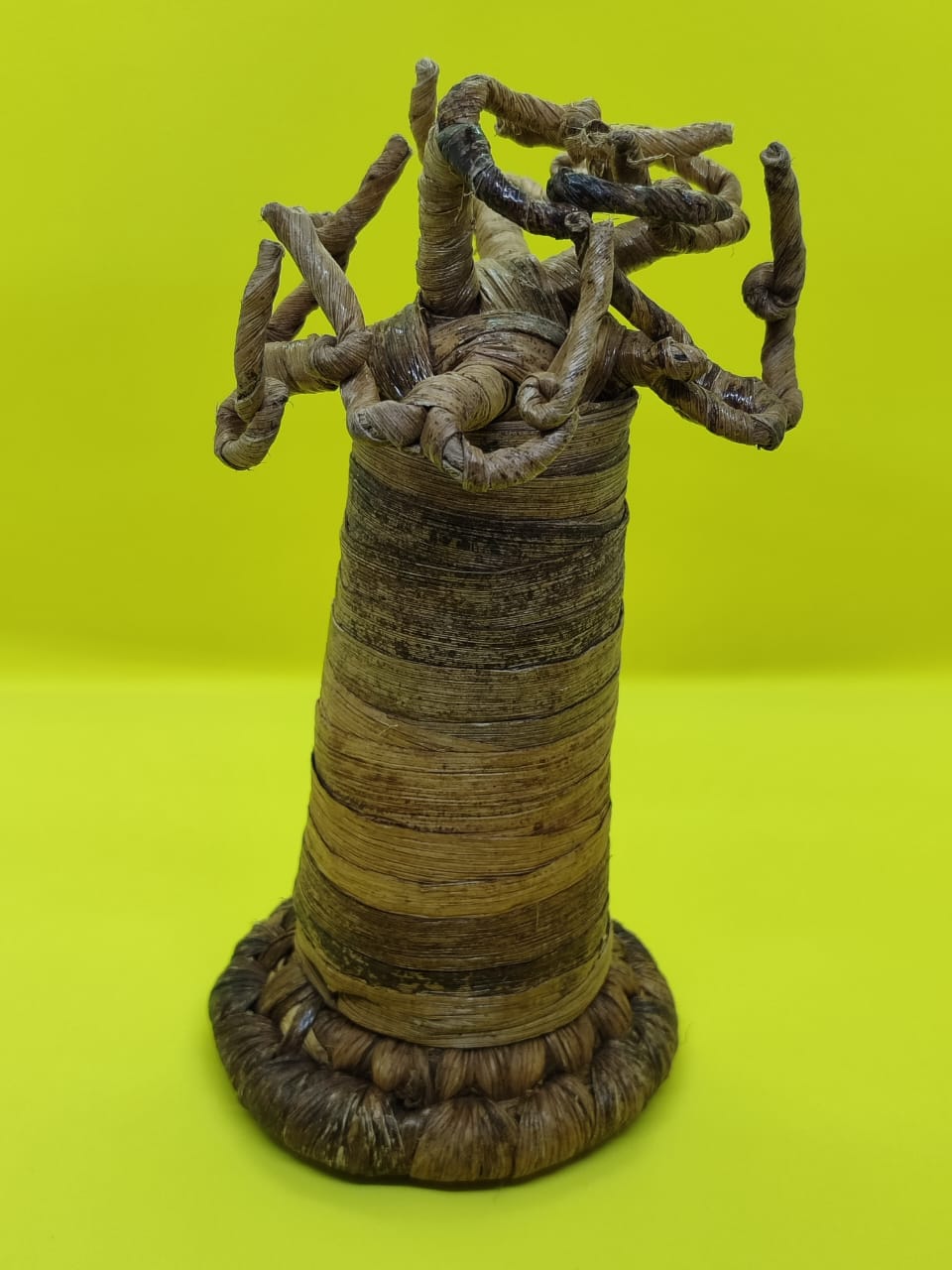 Baobab Tree