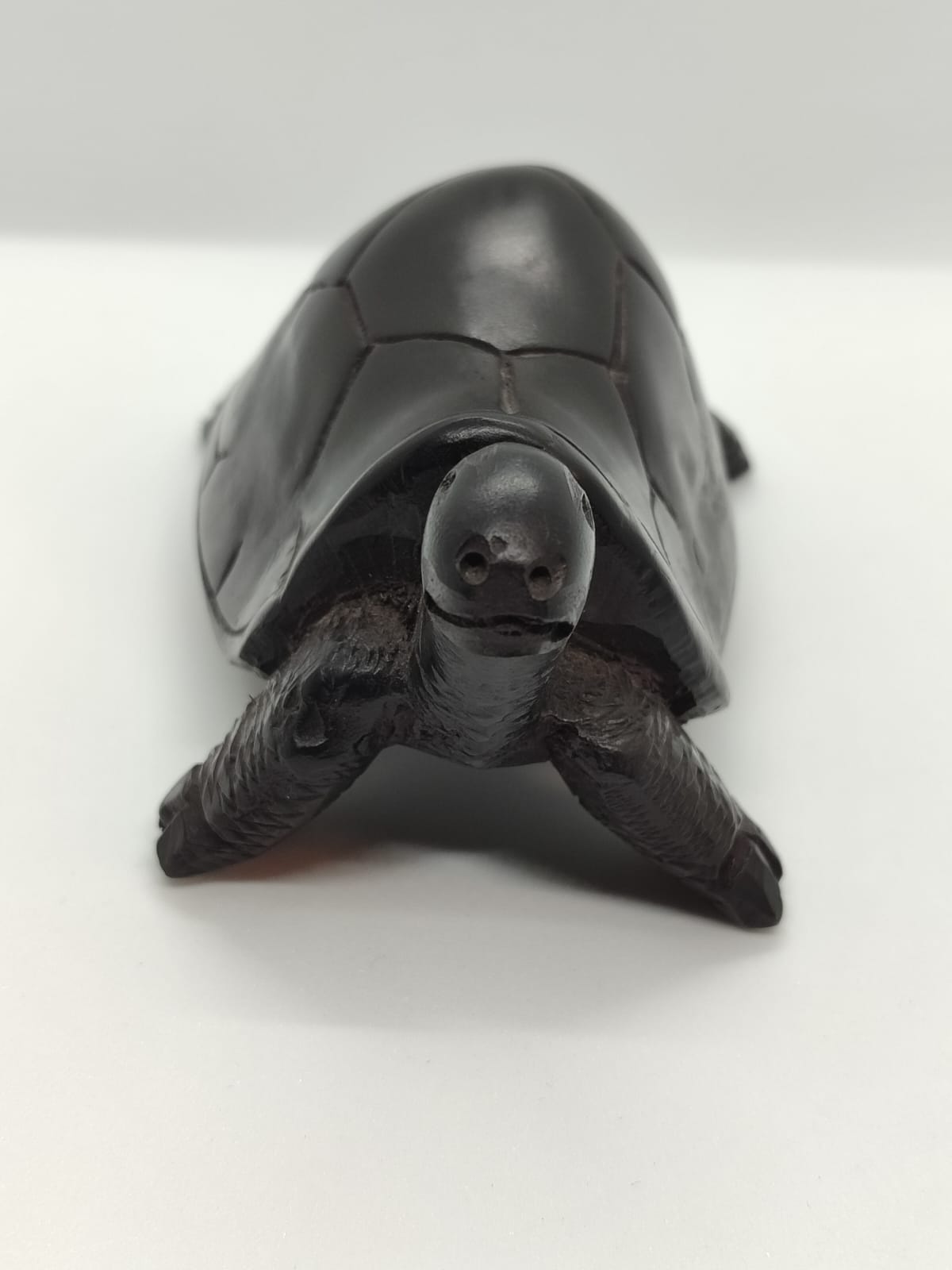 Tortoise Carving