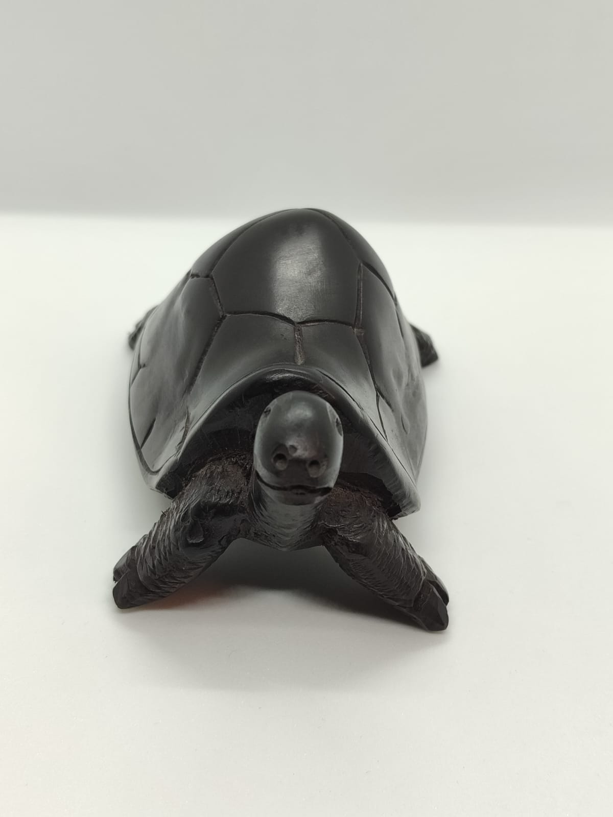 Tortoise Carving
